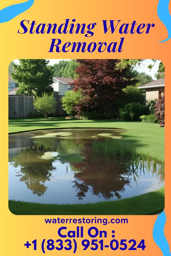 Standing Water Removal in Asheboro, NC